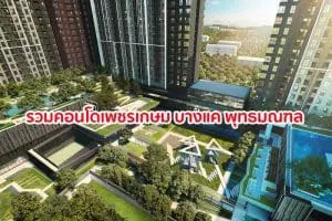 รวมคอนโดเพชรเกษม บางแค พุทธมณฑล
