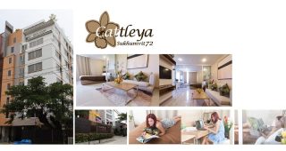 คอนโด แคทลียา สุขุมวิท 72 Cattleya ใกล้รถไฟฟ้า BTS แบริ่ง
