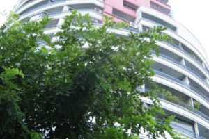 รีวิว คอนโด รัชดา พาวิลเลี่ยน RATCHADA PAVILLION