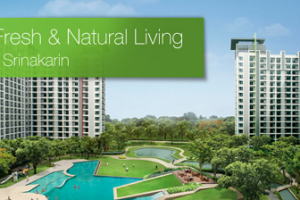 คอนโด เดอะ พาร์คแลนด์ ศรีนครินทร์ The Parkland Srinakarin