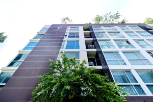 TREE CONDO LUXE สุขุมวิท 52 ใกล้รถไฟฟ้า BTS อ่อนนุช