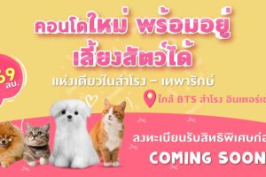 คอนโด บรอมป์ตัน เพ็ท เฟรนด์ลี่ สำโรง-สเตชั่น Brompton Pet Friendly Samrong-Station ใกล้ BTS สำโรง Interchange เริ่ม 1.69 ล้าน*