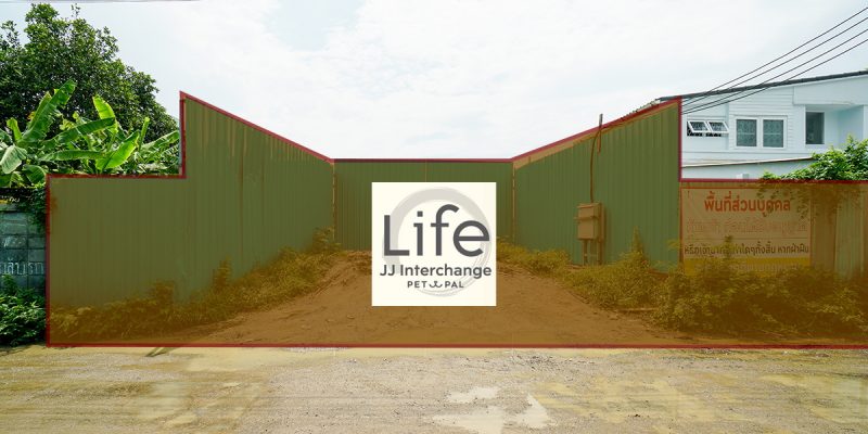 รีวิว Life JJ Interchange Pet Pal คอนโด Low-Rise เลี้ยงสัตว์ได้จาก AP เชื่อมต่อ 3 ทำเล จตุจักร, อารีย์ และบางซื่อ ใกล้รถไฟฟ้า 2 สาย, อุทยานสวนจตุจักร และ Pet Park (สวนรถไฟ) 1 ห้องนอน เริ่ม 3.49 ล้านบาท*