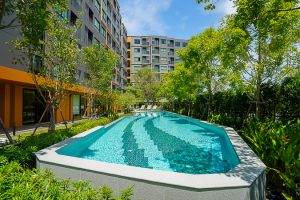รีวิว d condo sense บางแสน คอนโดสไตล์รีสอร์ตแต่งครบพร้อมอยู่ ทำเลใจกลางบางแสน ใกล้ตลาดปาร์คอินและบางแสนโทชิน เพียง 3 นาที* ถึง ม.บูรพา เริ่ม 1.59 ล้าน*