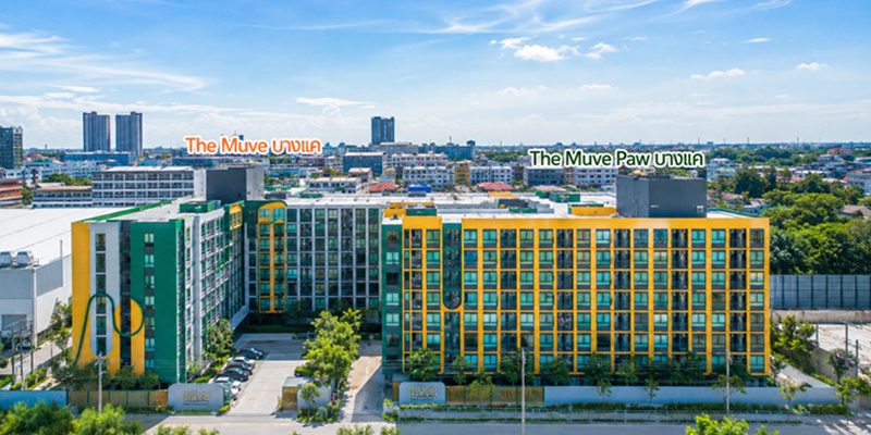รีวิว The Muve Paw บางแค คอนโดใหม่แต่งครบพร้อมอยู่ เลี้ยงสัตว์ได้ ใกล้ MRT บางแค และ Lotus’s บางแค เริ่ม 1.85 ล้าน*