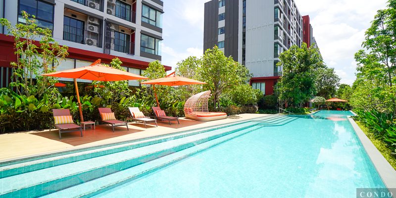 รีวิว dcondo vivid รังสิต คอนโดแต่งครบสไตล์ Campus Condo ตรงข้าม ม.กรุงเทพ พร้อมรับ-ส่ง ถึงหน้ามหาลัย เริ่ม 1.79 ล้าน*