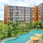 dcondo kiri