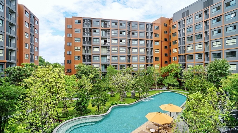 dcondo kiri